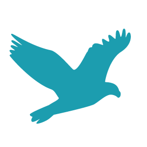 icon-eagle-blue